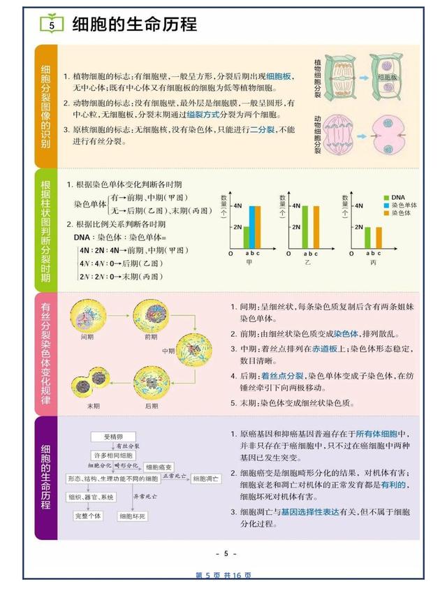 高中三年总结800字作文（高中三年总结800字作文标题）