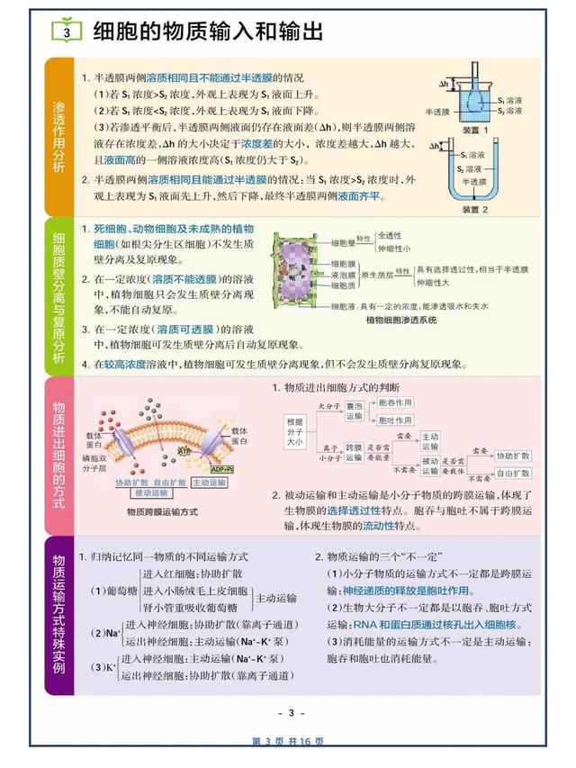 高中三年总结800字作文（高中三年总结800字作文标题）