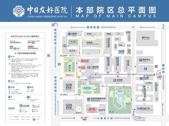 关于实践的作文素材（写一篇关于实践的作文）