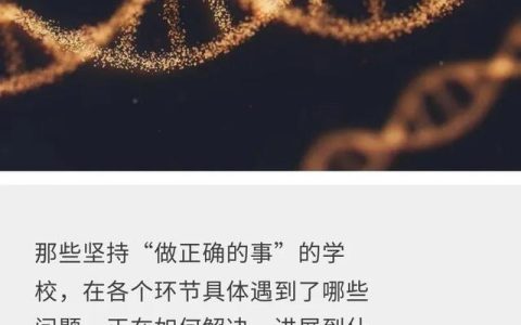 关于学校的优美句子（关于学校的电视剧有哪些）