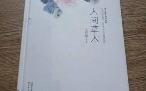 经典名著读后感500字（四大名著读后感500字）