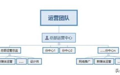 活动组织怎么写（活动组织能力）