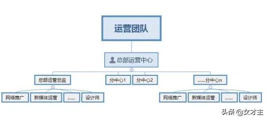 活动组织怎么写（活动组织能力）