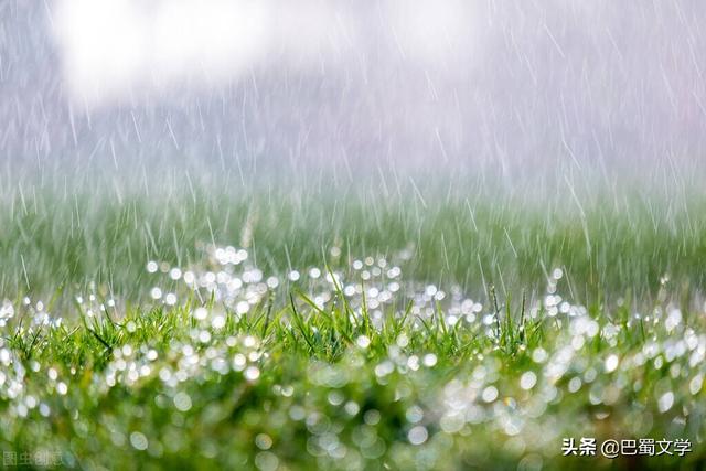 雨的散文精选450字，雨的散文精选名家