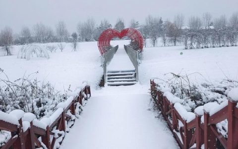 冬季雪景图片大全，冬季雪景图片大全_简笔画！