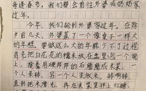 过春节作文300字三年级，过春节作文300字左右