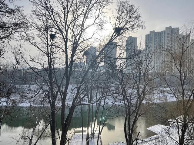 雪之韵2号雪茄，雪之韵2号雪茄一条多少盒