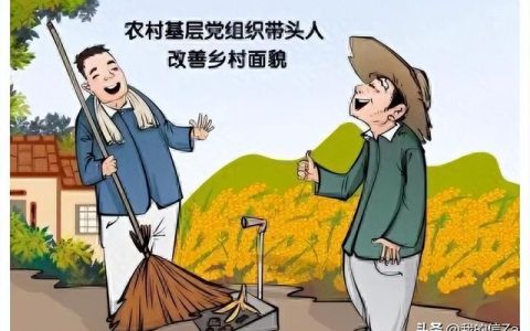 换届选举办法，选举程序规定？